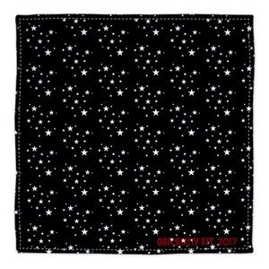Obscenity Bandana (Starry Night)